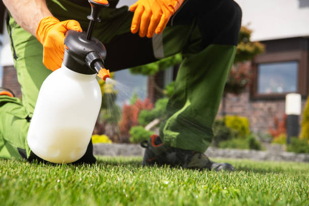 Best Rat Extermination Near Me  in Mannford, OK