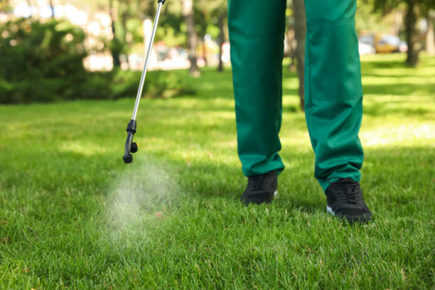 Best Affordable Pest Control Services  in Mannford, OK