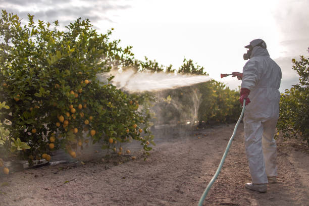 Best Pest Prevention Services  in Mannford, OK