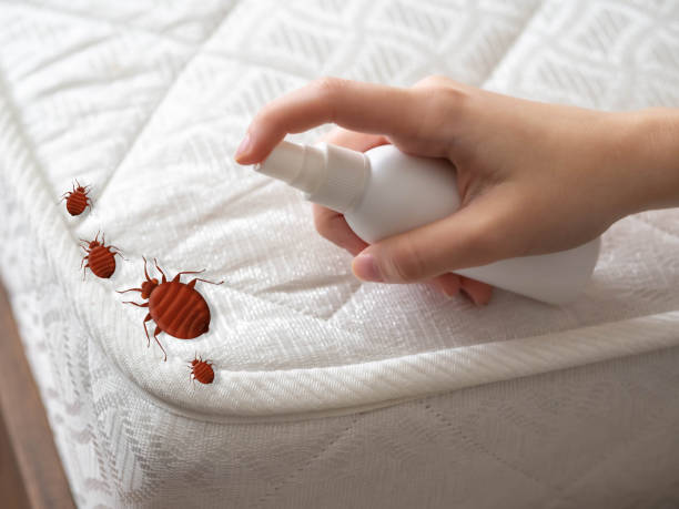 Best Pest Control Near Me  in Mannford, OK