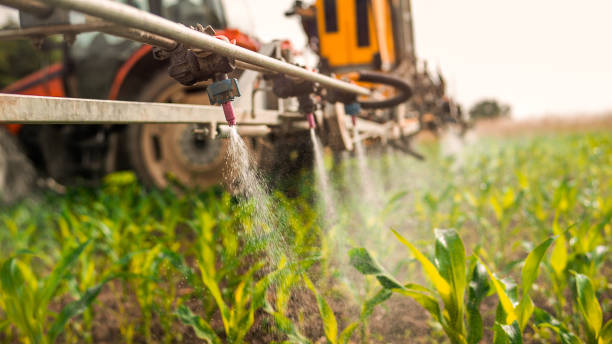Best Best Pest Control Companies  in Mannford, OK